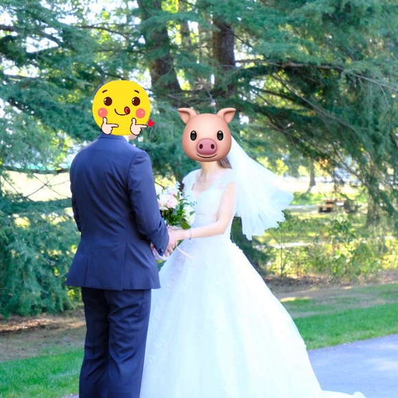 Simple Lace V-neck Train Wedding Dress/ French Tulle Bohemian Wedding Dress - Picture 11 of 12